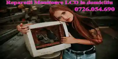 reparatii_monitoare